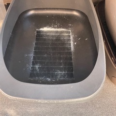猫
トイレの画像