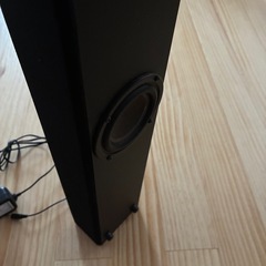 トールスピーカー🔈の画像
