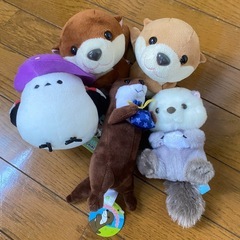 決まりました。ぬいぐるみの画像