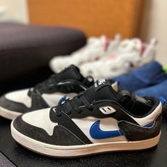 NIKE SB Alleyoop メンズ スニーカー 27.0cm（ブラック／ホワイト／ブルー系）の画像