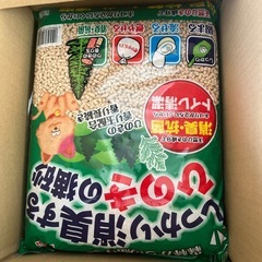 ネコ砂 の画像