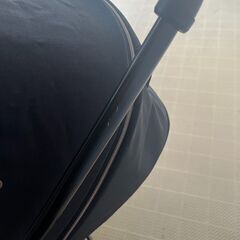 nuna ベビーカー チャイルドシート セットの画像
