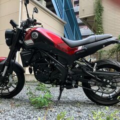 ベネリ　レオンチーノ250の画像