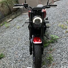 ベネリ　レオンチーノ250の画像
