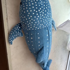 ジンベイザメのぬいぐるみの画像