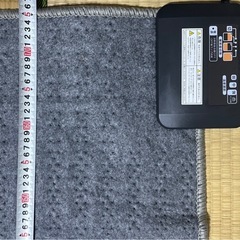 ホットカーペット（美品）の画像