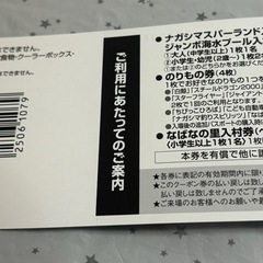 ナガシマスパーランド(ジャンボ海水プール)入場券の画像