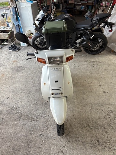ヤマハ ミント 即ノリ！ 原付 市内の方でしたら自賠責も着きます！