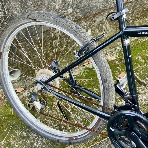 お取引感謝【お散歩用に】２６インチ・マウンテンバイク・EDWINロゴ・フロントサス・中古