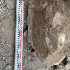 庭石　②の画像