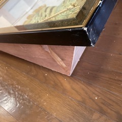 伊勢エビの剥製の画像
