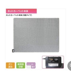 電気カーペットあげます　3畳　YAMAZEN 　山善　の画像