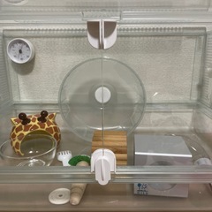 全部揃ってます ハムスター飼育セット ケージ ラック 餌 床材 トイレ砂の画像