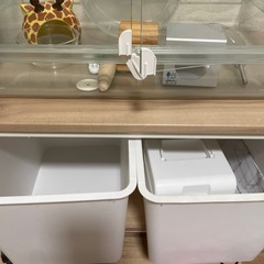 全部揃ってます ハムスター飼育セット ケージ ラック 餌 床材 トイレ砂の画像