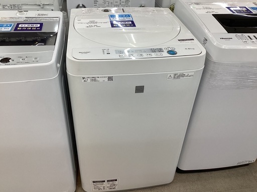 【取りに来られる方限定】　SHARP 全自動洗濯機　4.5kg  2019年製