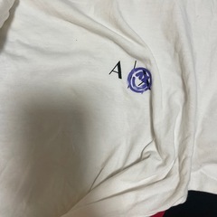 リーバイス　ノースフェイス　tommyなどの画像