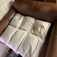 定価30万円本革ソファーブラウンアスプルンドハロ (引っ越しの味方 