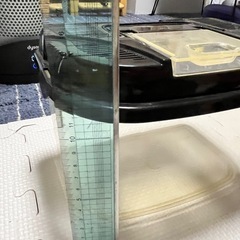 虫かごの画像