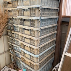 野菜カゴの画像