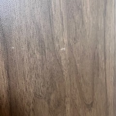 ニトリ Nポルダディープ専用 追加棚板 2枚の画像