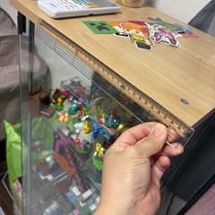 ガラス飾り棚（受付終了）の画像