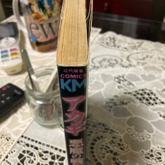 コンビニマンガ　アカギ　　1巻から10巻　アカギ悪魔の戦術の画像