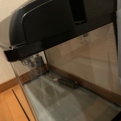 60cm 水槽 フィルターなどセットの画像