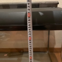 60cm 水槽 フィルターなどセットの画像