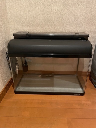 60cm 水槽 フィルターなどセット 譲渡者決定