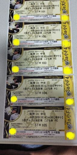 【値下げしました】9/28 阪神vs中日戦　3塁アルプス席