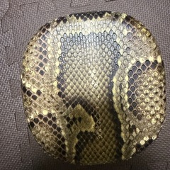三線の画像
