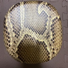 三線の画像