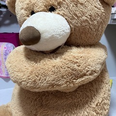 ぬいぐるみの画像