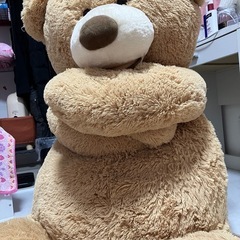 ぬいぐるみの画像