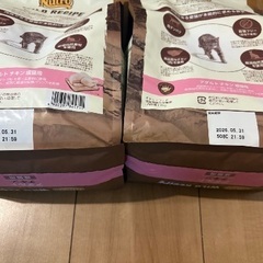 Nutro ワイルドレシピ 成猫用 グレインフリー アダルト チキン 2kg ドライフードの画像