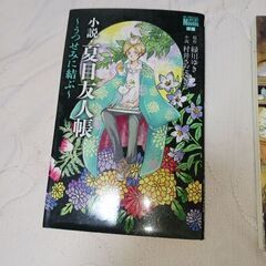 小説・夏目友人帳２冊セットの画像