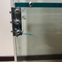 ガラスに見えるアクリルケースの画像