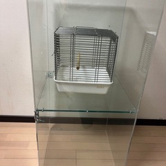 ガラスに見えるアクリルケースの画像