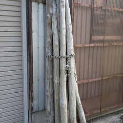 木材  雪囲いに  丸太    無料の画像