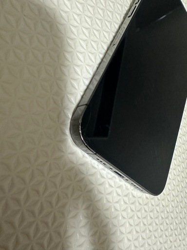 iPhone13Pro本体SIMフリー