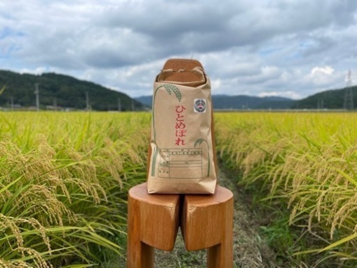 【新米】令和7年宮城県登米市産ひとめぼれ　玄米30kg