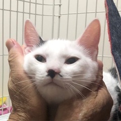 名は体を表すか？！大きくなぁれ〜 うしお君