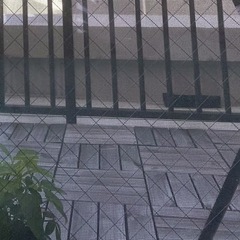 ウッドパネル60枚の画像