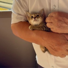 珍しい麦わら男子