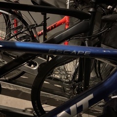 GIANT Escape R3 青の画像