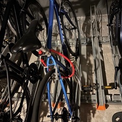 GIANT Escape R3 青の画像