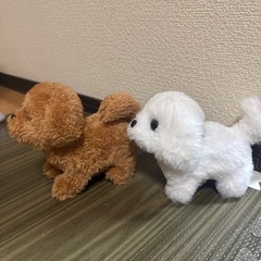 犬のおもちゃの画像