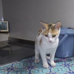 外で生まれました − 山口県