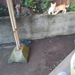 外で生まれました - 下関市