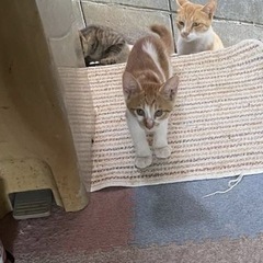 外で生まれました